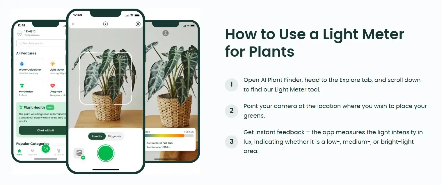 A screen from the AI Plant Finder website showing how to use the Light Meter feature.